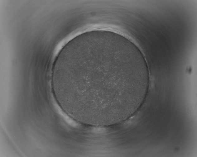 X0000114661525200910201519