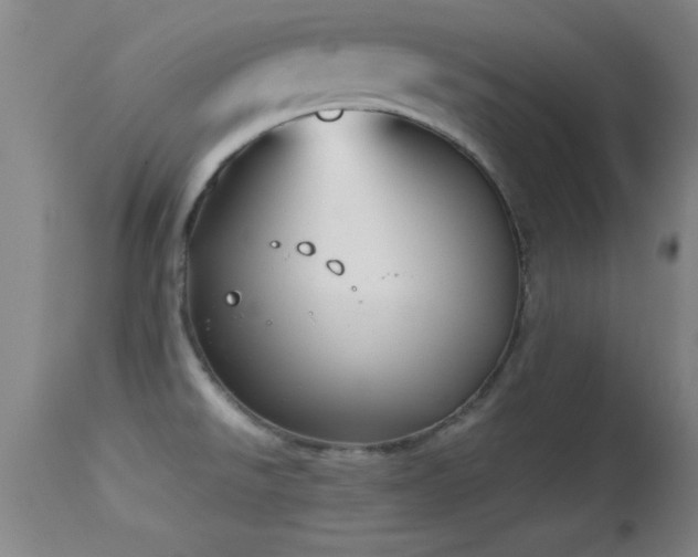 X0000114661526200910201519