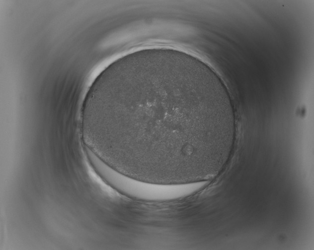 X0000114661527200910201519