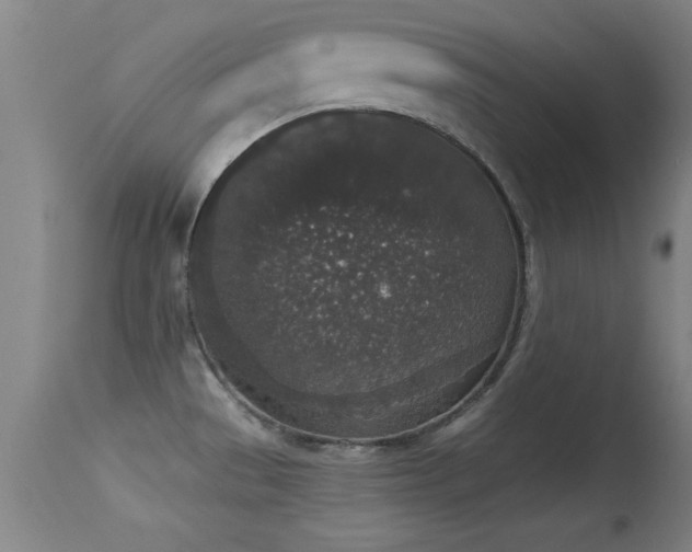 X0000114661529200910201519