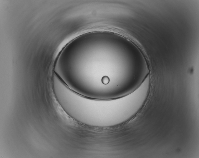 X0000114661530200910201519