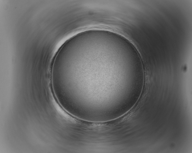 X0000114661531200910201519