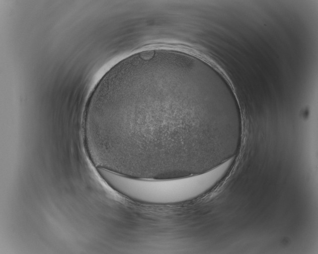 X0000114661533200910201519