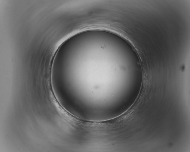 X0000114661534200910201519