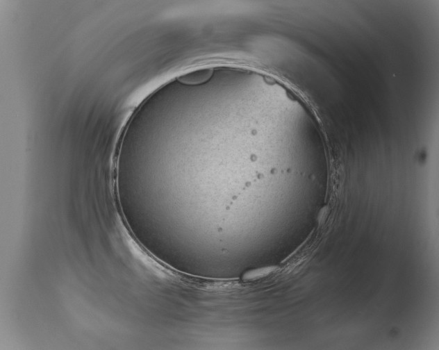 X0000114661535200910201519