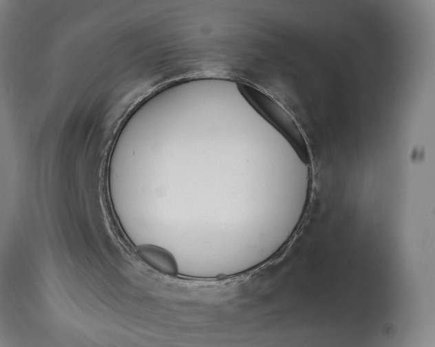 X0000114660001200911101353