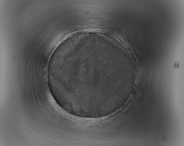 X0000114660002200911101353