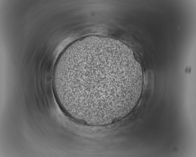 X0000114660003200911101353