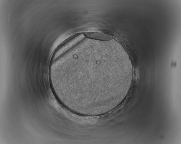 X0000114660004200911101353