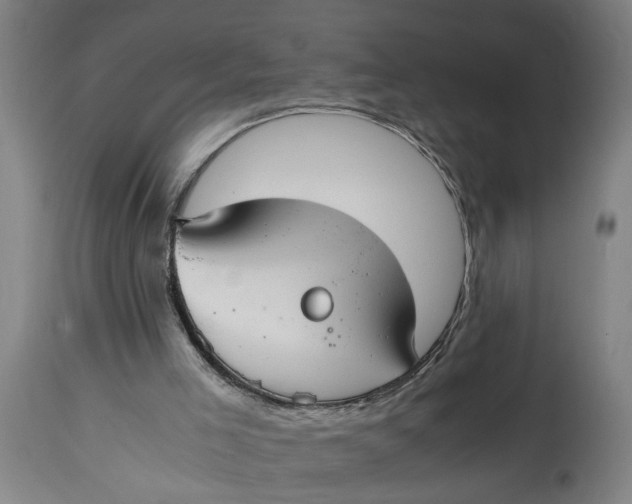 X0000114660005200911101353