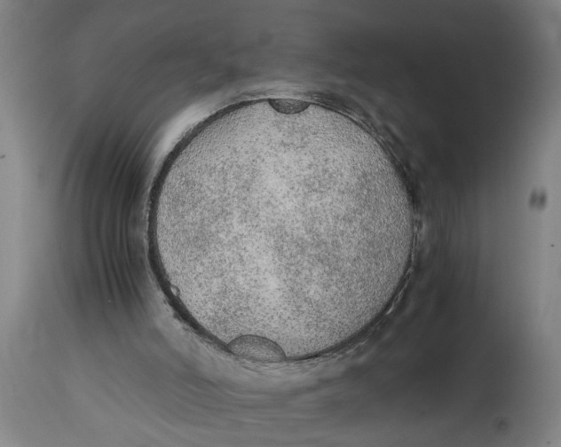 X0000114660006200911101353