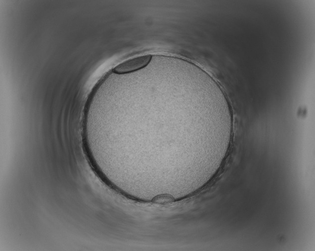 X0000114660007200911101353