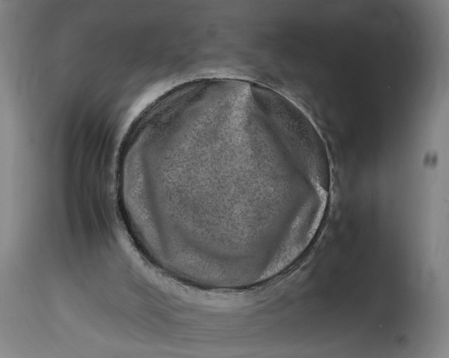 X0000114660008200911101353