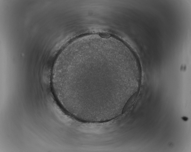 X0000114660009200911101353