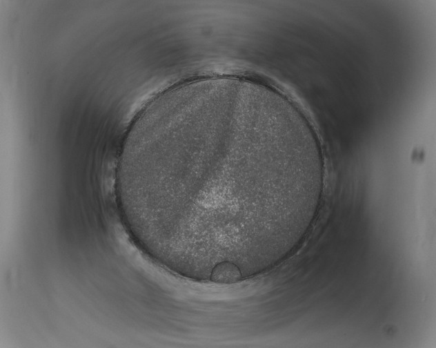 X0000114660010200911101353