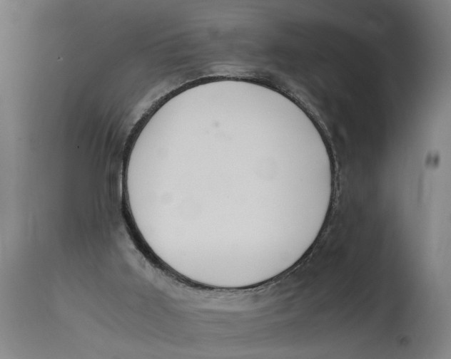 X0000114660011200911101353