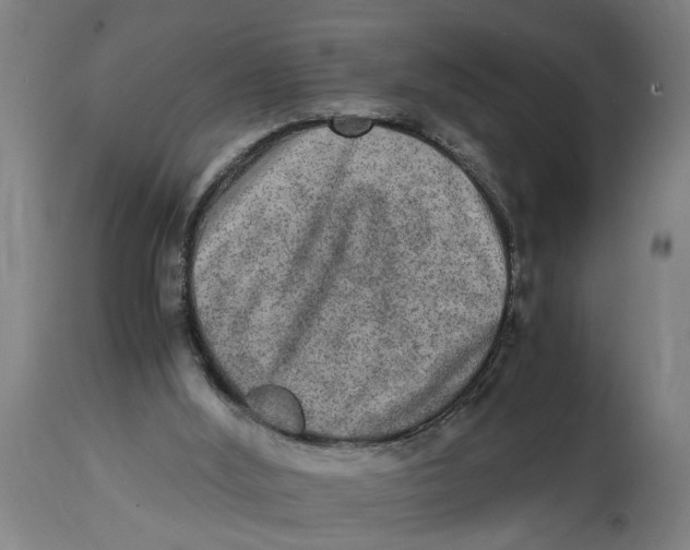 X0000114660012200911101353