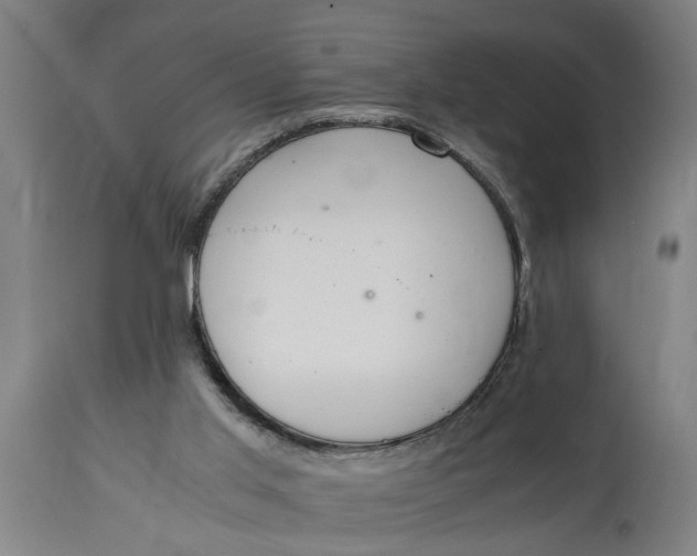 X0000114660013200911101353