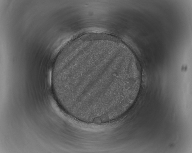 X0000114660014200911101353