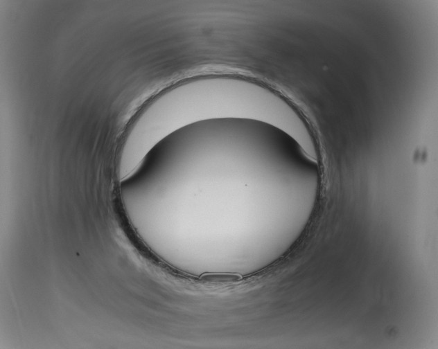 X0000114660015200911101353