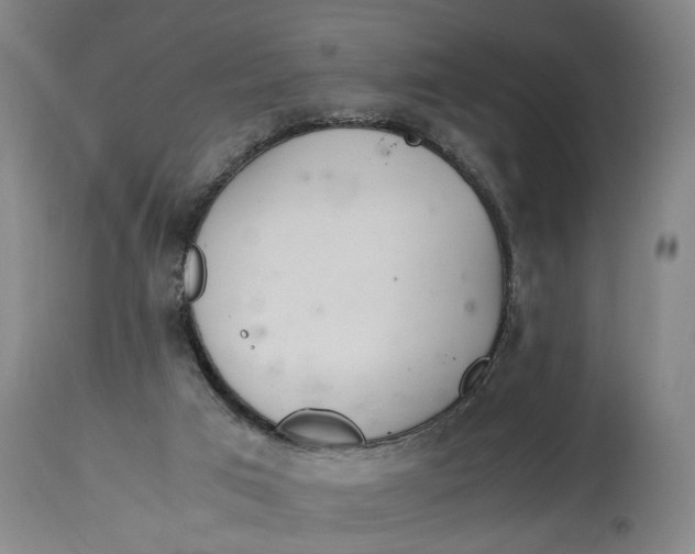 X0000114660017200911101353