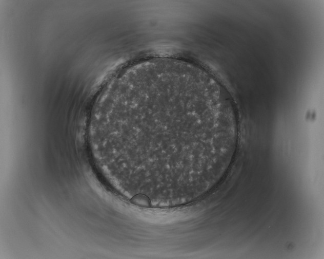 X0000114660018200911101353