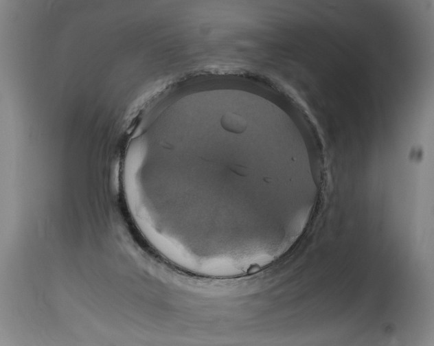 X0000114660019200911101353