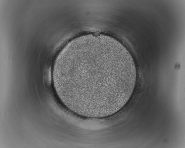 X0000114660020200911101353