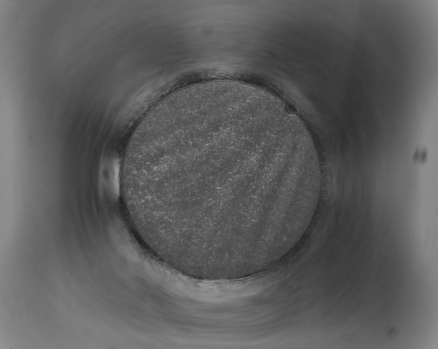 X0000114660022200911101353