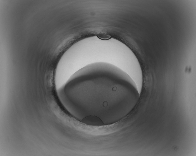 X0000114660023200911101353