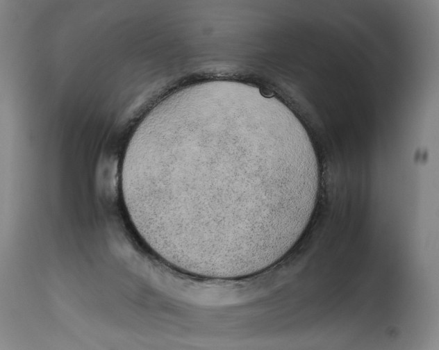 X0000114660024200911101353