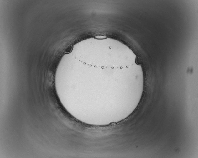 X0000114660025200911101353