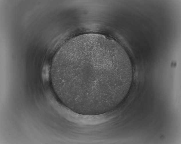 X0000114660026200911101353