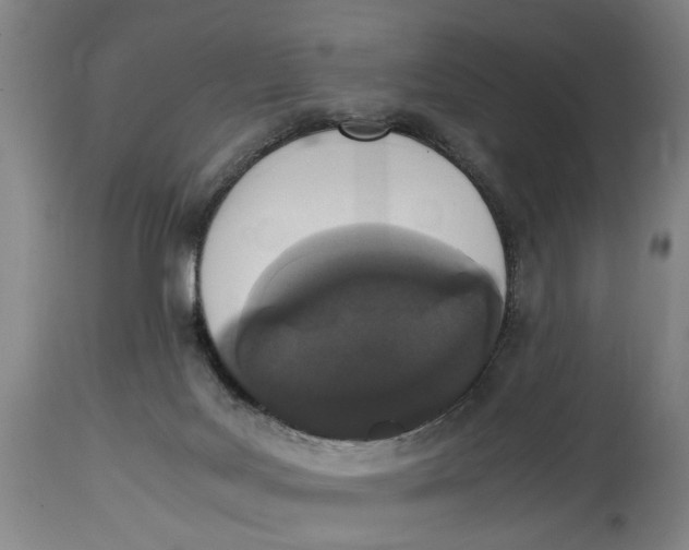 X0000114660027200911101353