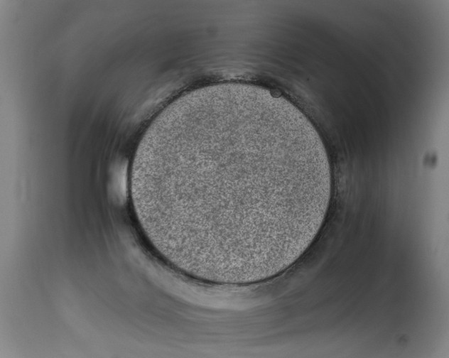 X0000114660028200911101353