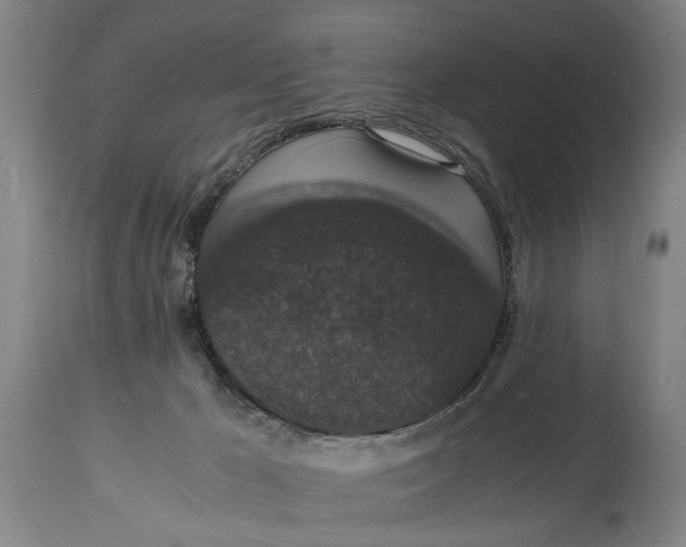 X0000114660029200911101353