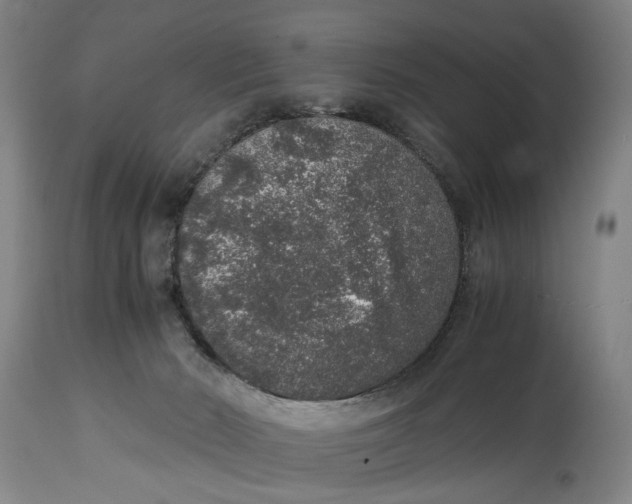 X0000114660030200911101353