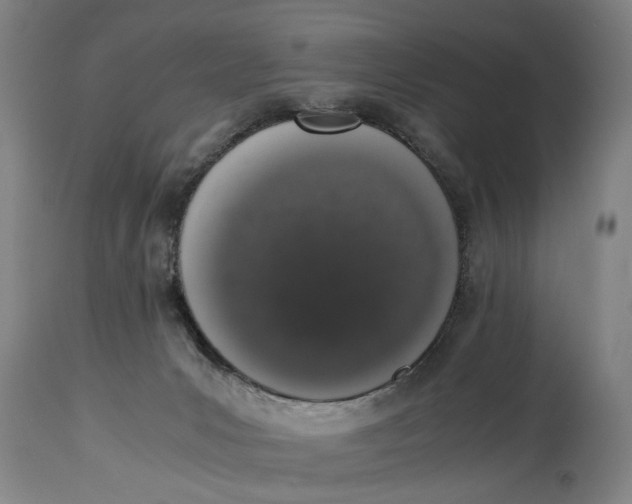 X0000114660031200911101353