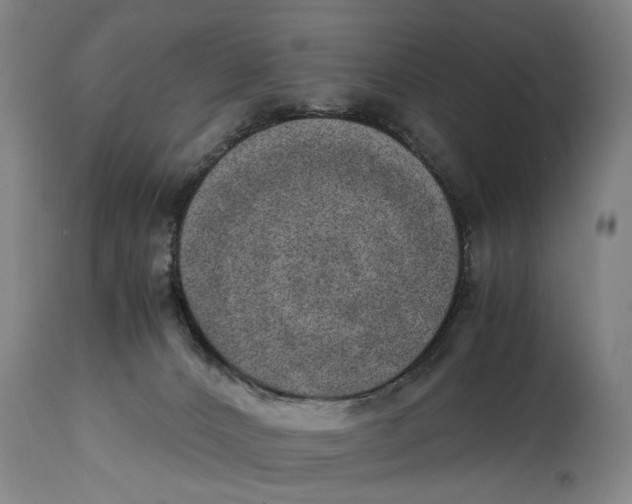 X0000114660032200911101353