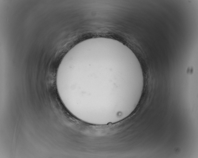 X0000114660033200911101353