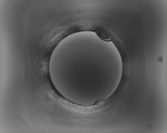 X0000114660035200911101353