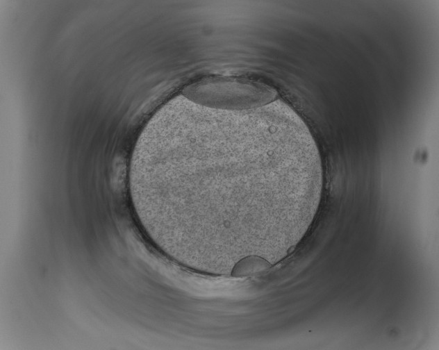 X0000114660036200911101353