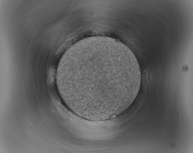 X0000114660038200911101353