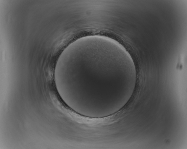 X0000114660039200911101353