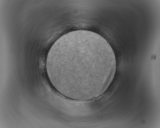 X0000114660040200911101353