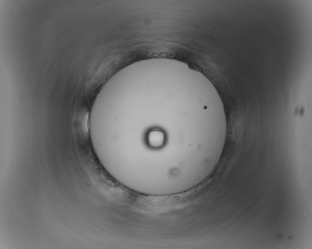 X0000114660041200911101353