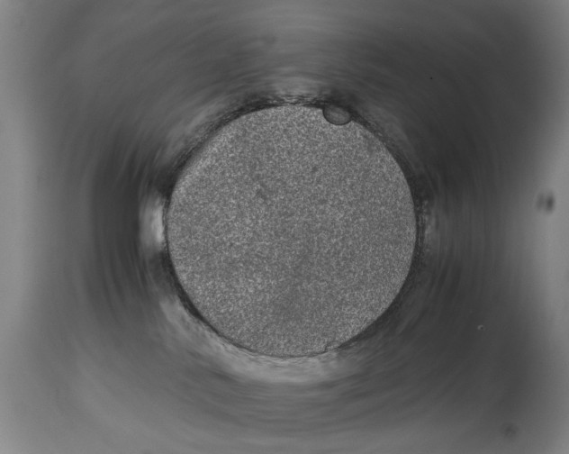 X0000114660042200911101353