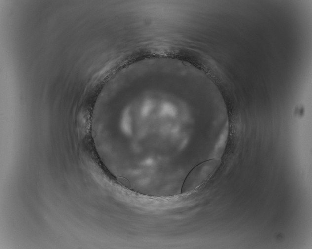 X0000114660043200911101353