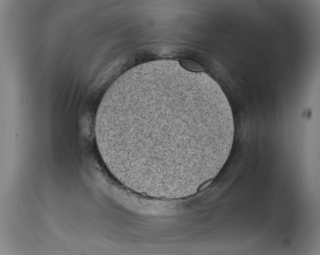 X0000114660044200911101353