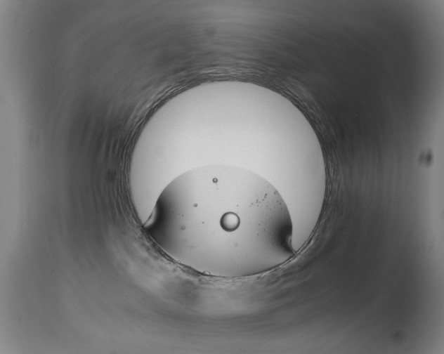 X0000114660045200911101353